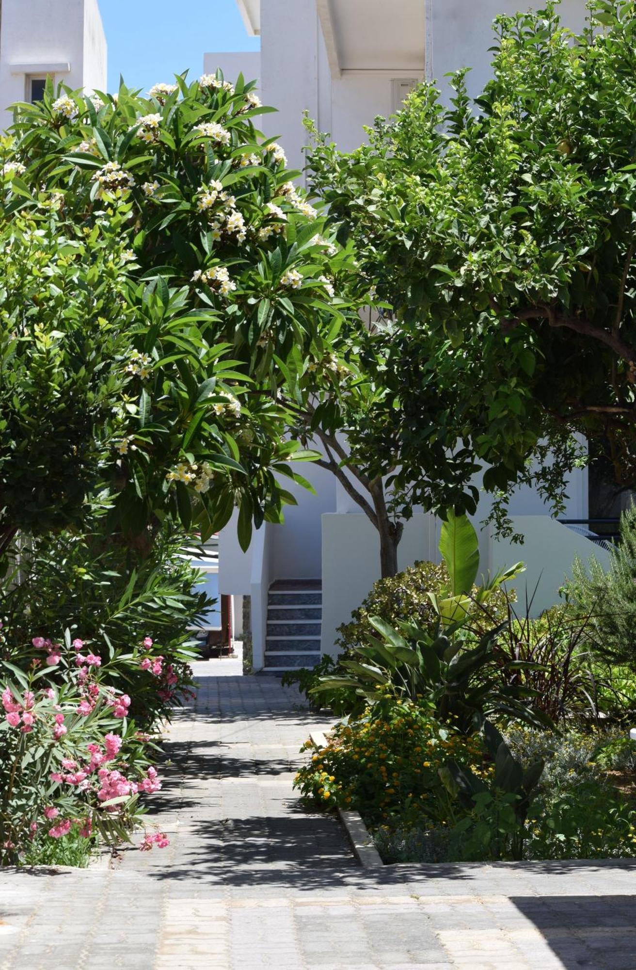 Apartment Icos 2 *